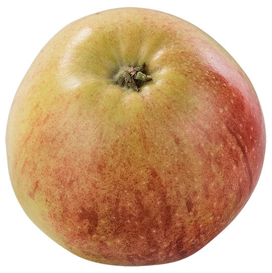 Rød Aroma æble