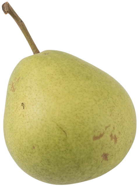 Clara Frijs Pærer