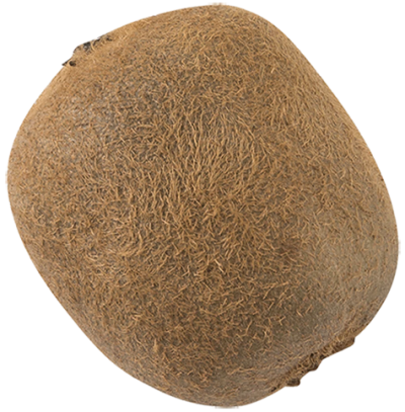 Kiwi fra Chile