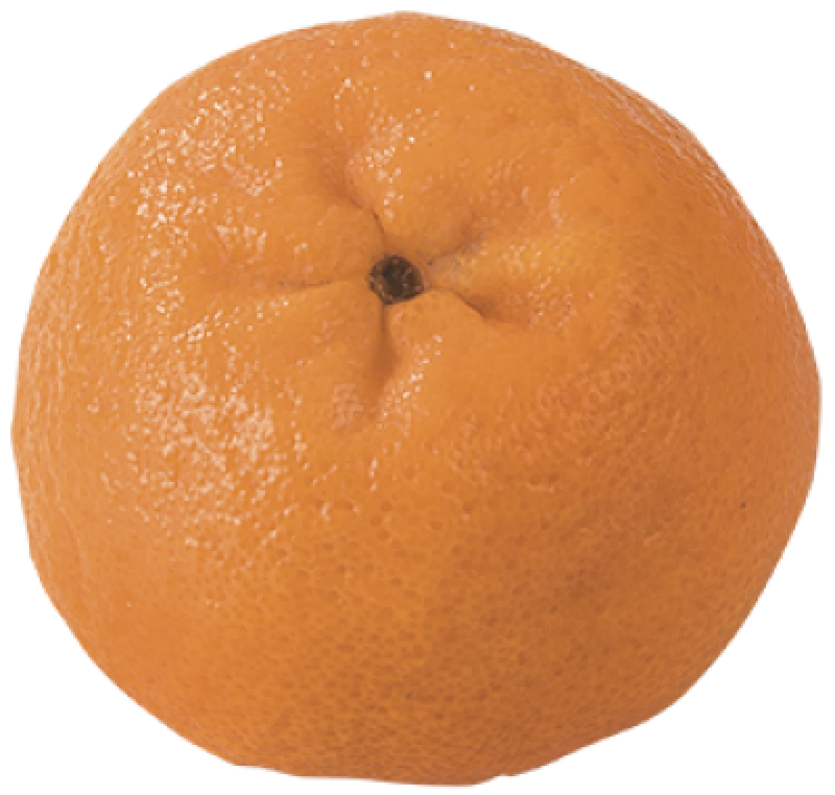 CLEMENTIN SYDAFRIKA – produktbillede
