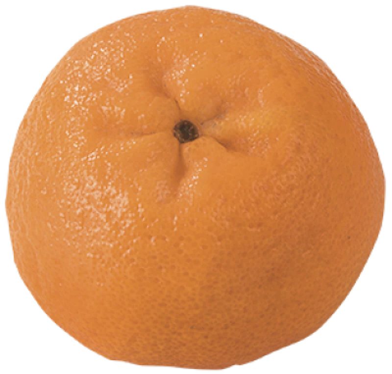 Clementin spanien kl.1