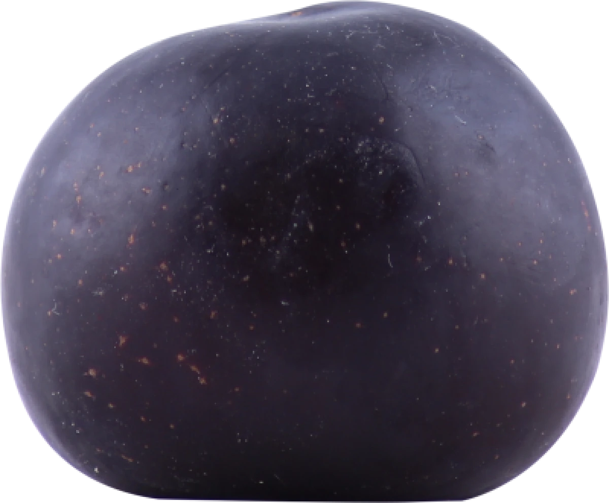 Blommer Sydafrika klasse 1