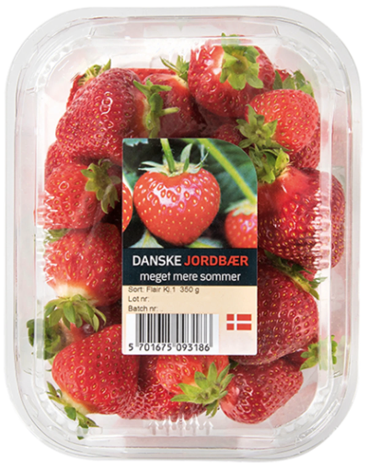 JORDBÆR