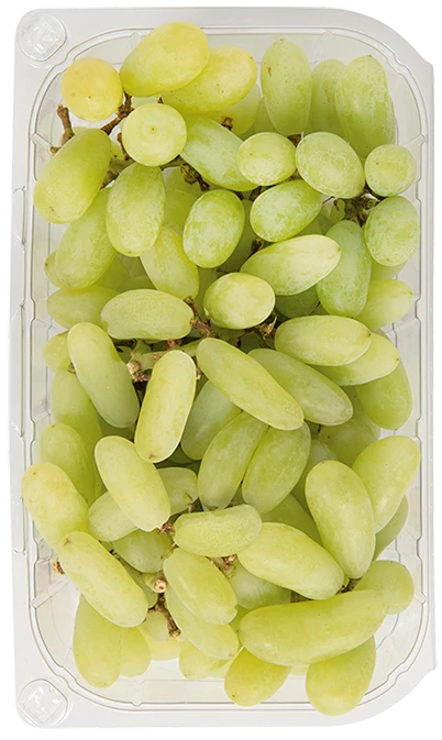 GRØNNE STENFRI DRUER