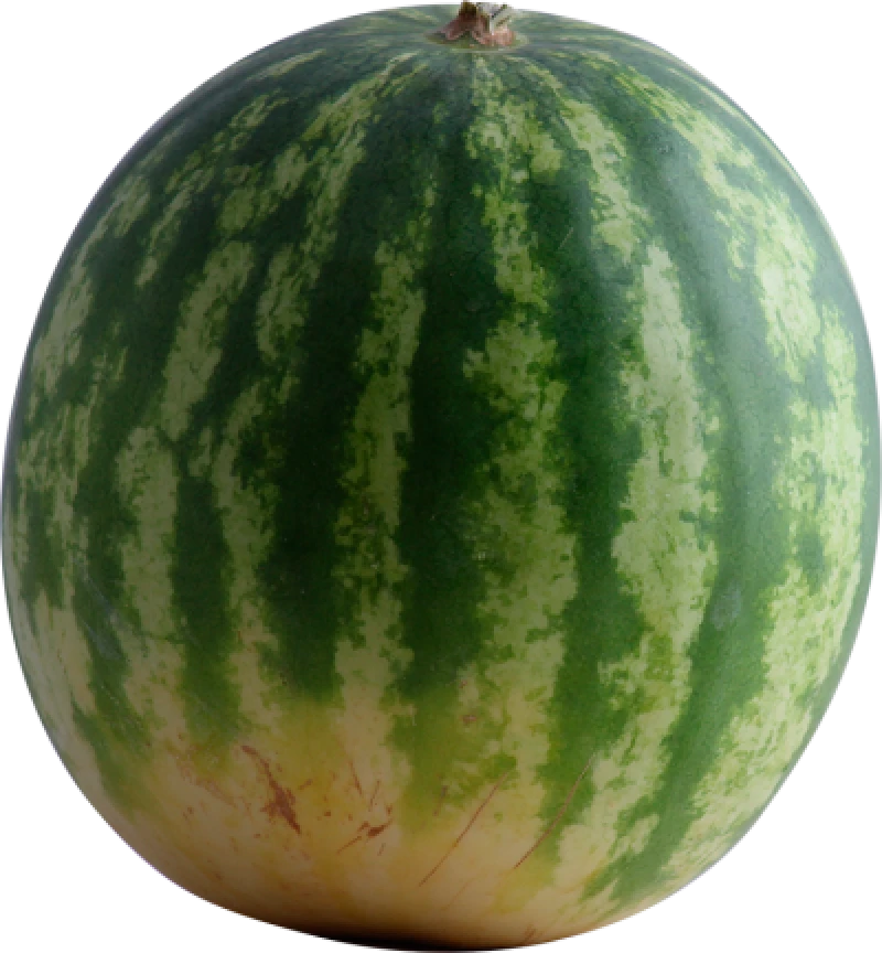 Vandmelon