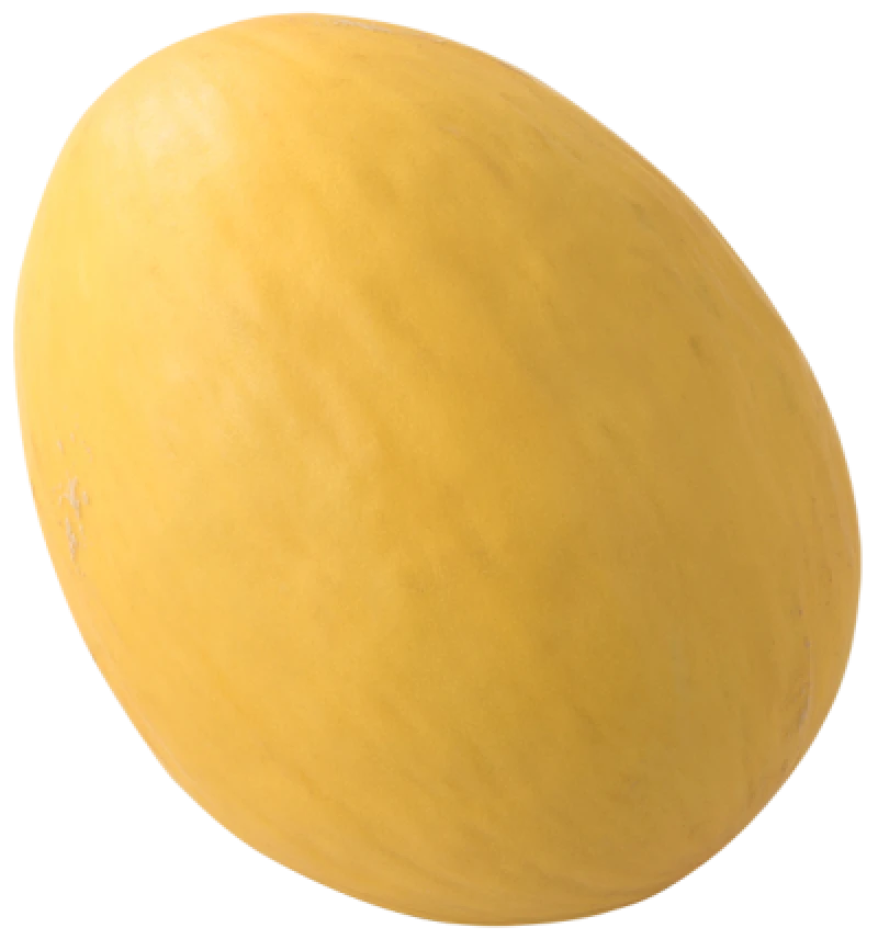Honningmelon Spanien
