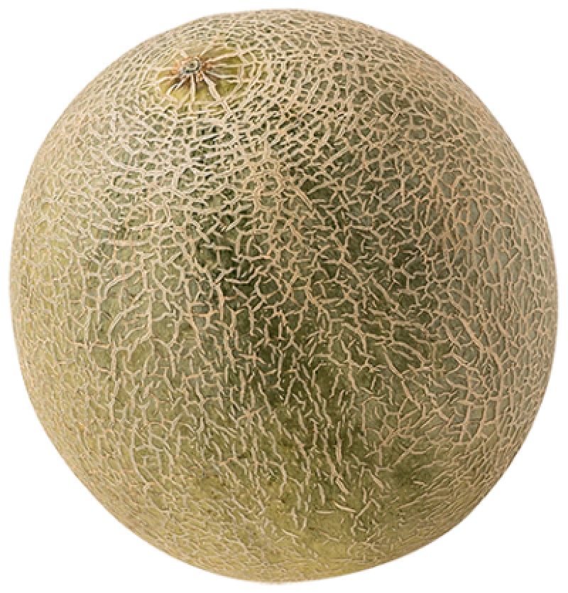 Cantaloupe Melon Italien