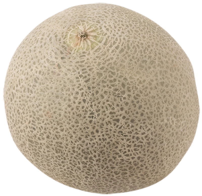 Cantaloupe Melon Italien