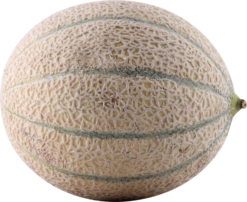Øko. Cantaloupe Melon