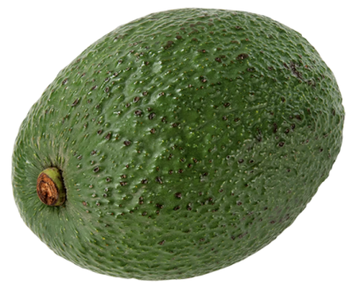 Avocado