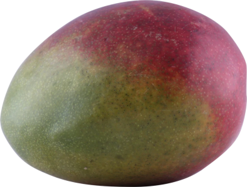 Mango formodnet