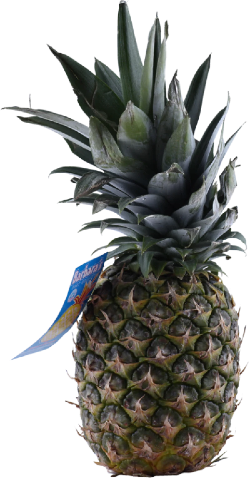 Ananas