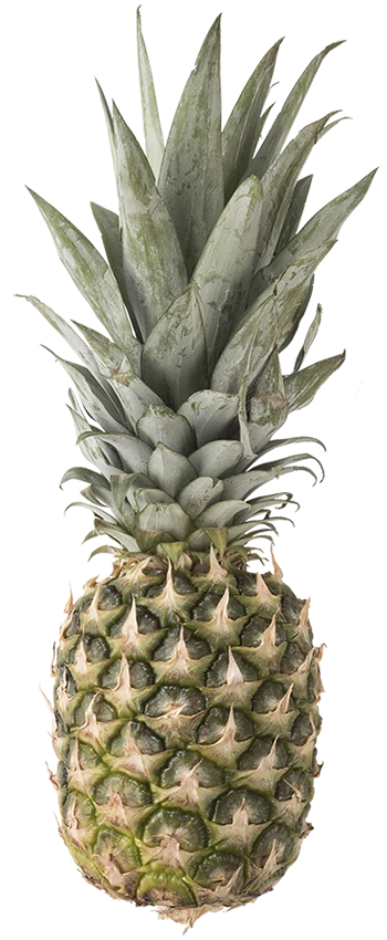 Ananas