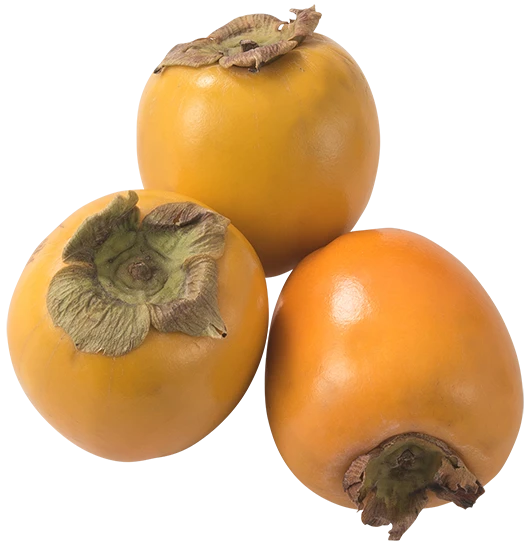 Kaki Frugt