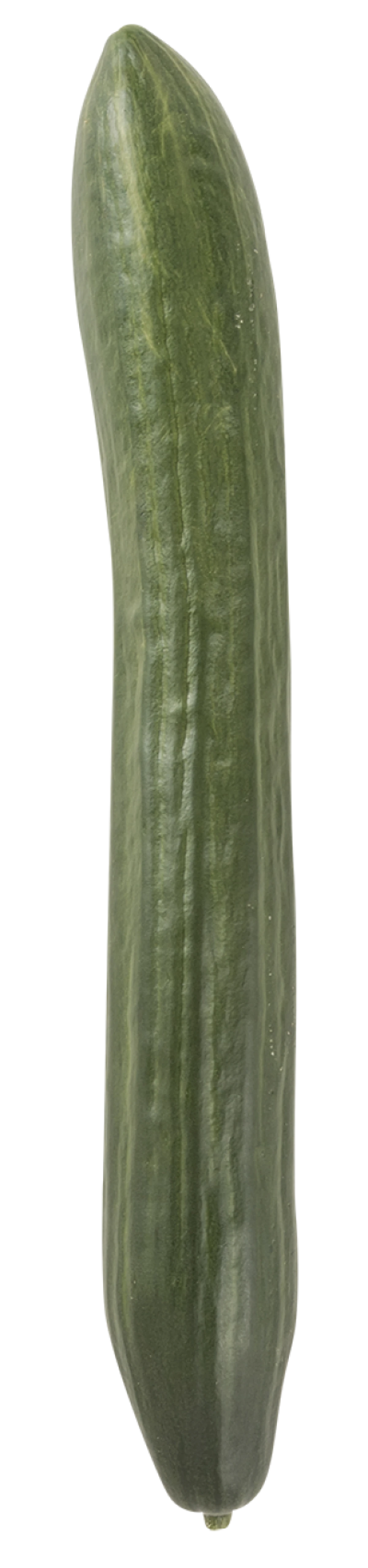 AGURK, 1 STK. / SPANIEN KL. 1