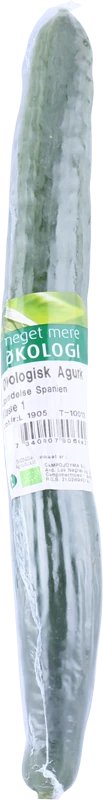 ØKO. AGURK – produktbillede