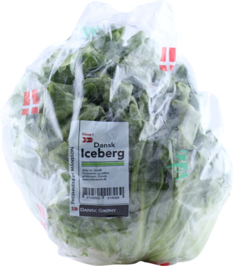 Iceberg Salat Danmark