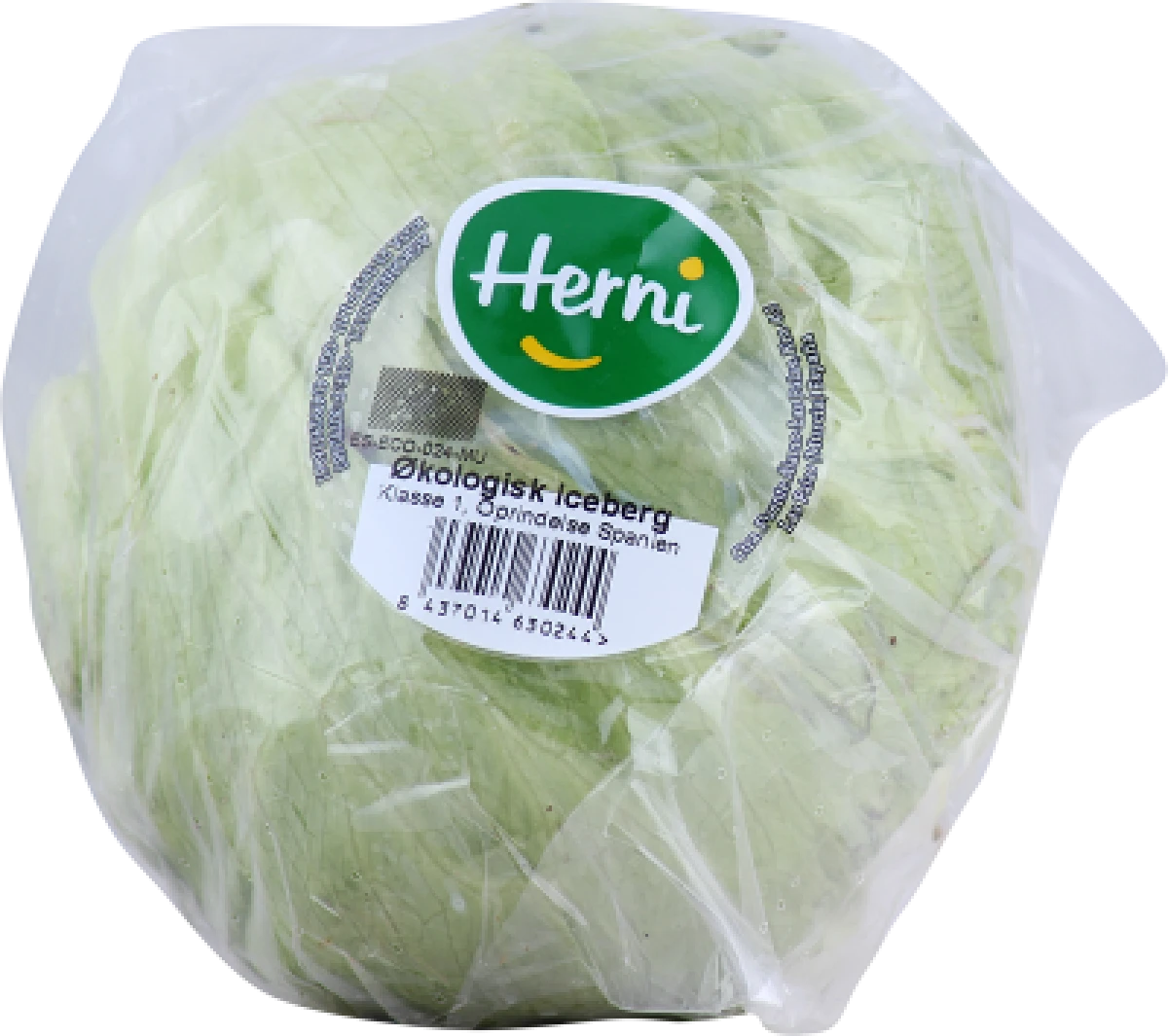 Øko. iceberg 1 stk.
