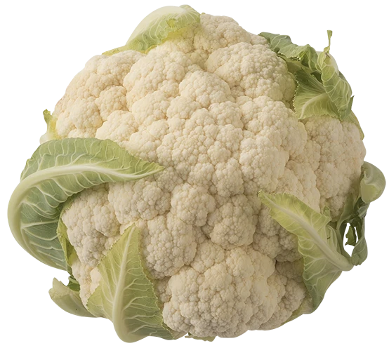 Kål
