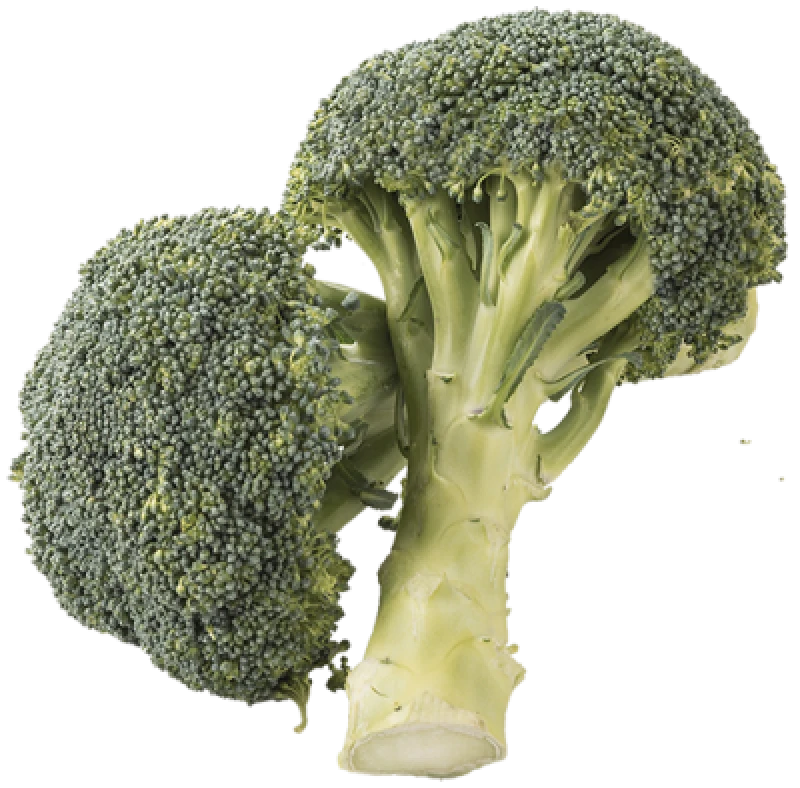 Øko. broccoli