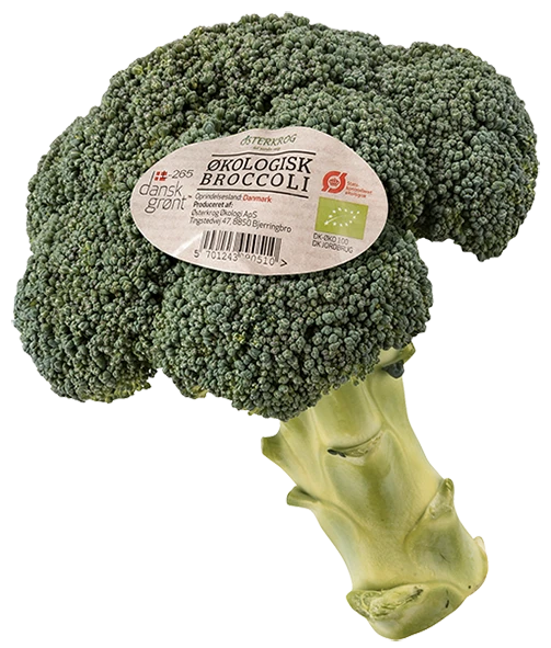 Øko. Broccoli
