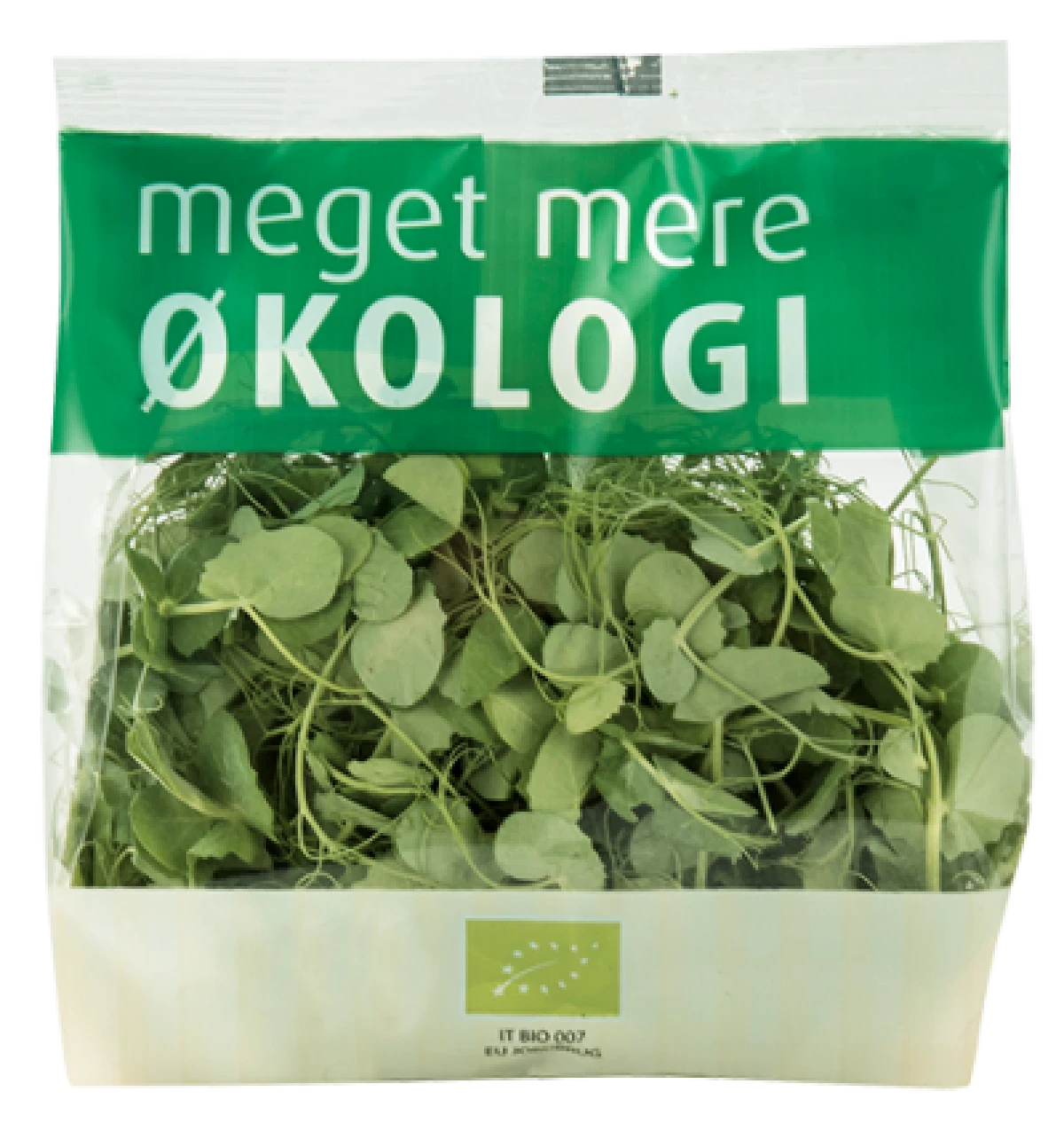 Økologisk Ærteskud Salat