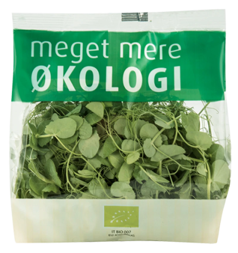 Øko. ærteskud salat