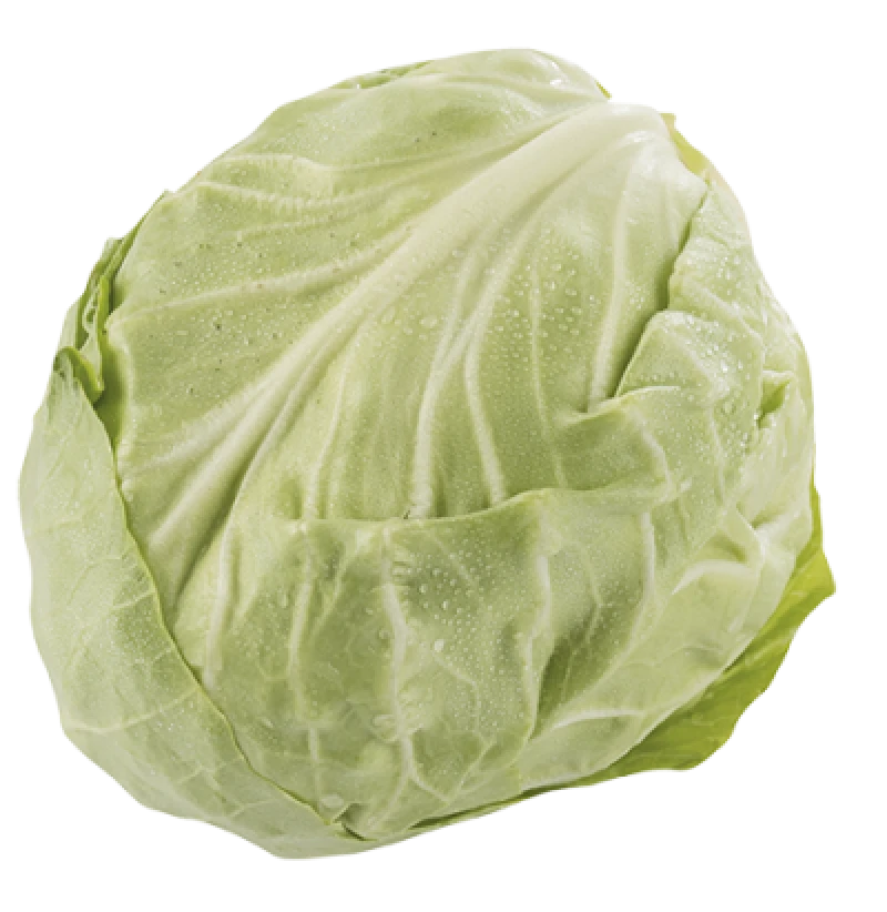 Sommerhvidkål