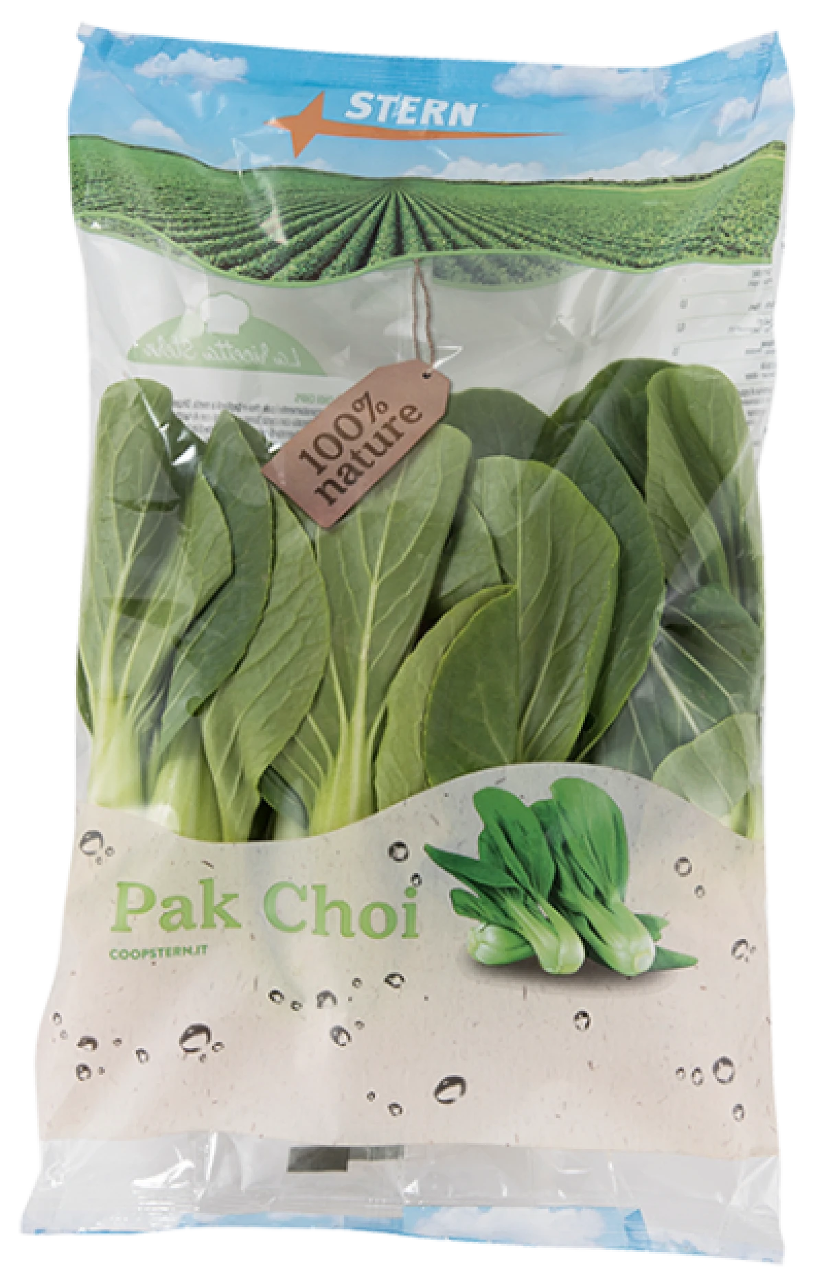 Pak Choi