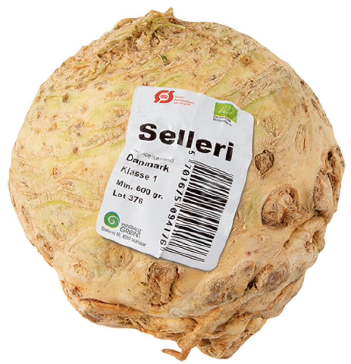 ØKO. SELLERI, 1 STK. / DANMARK KL. 1