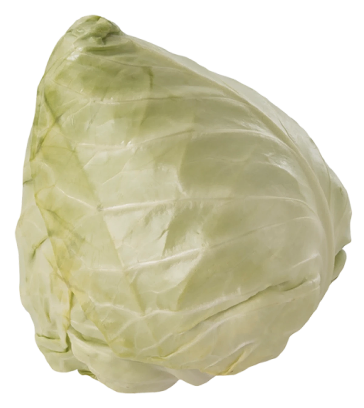 Øko. spidskål 1 stk.