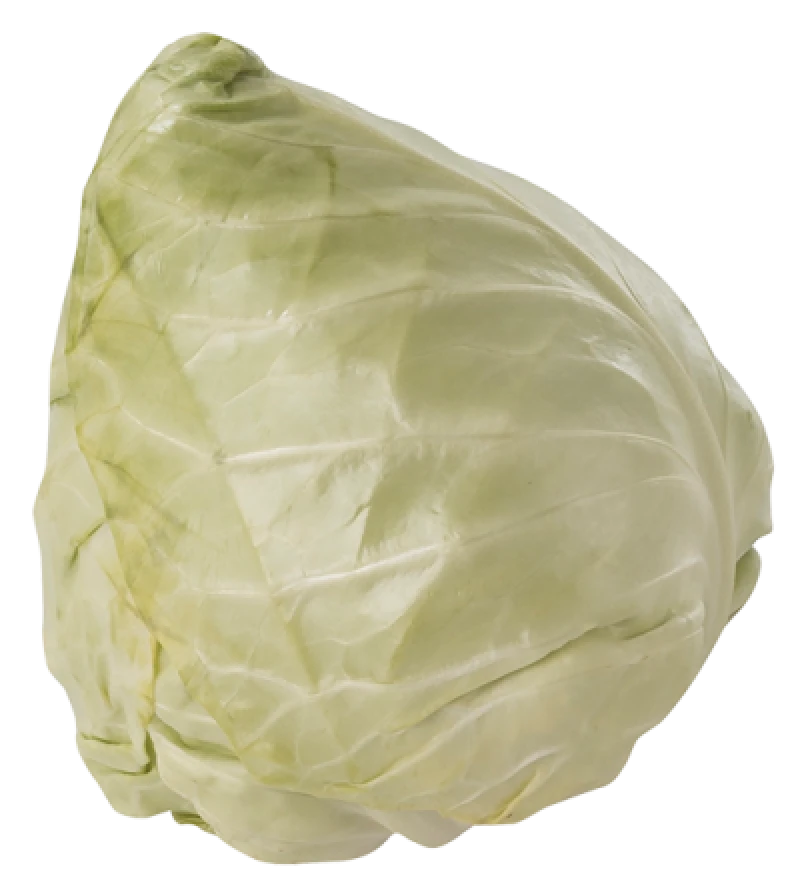 Økologisk Spidskål