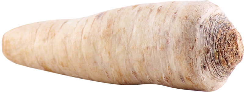 Produktbillede 1 af 1