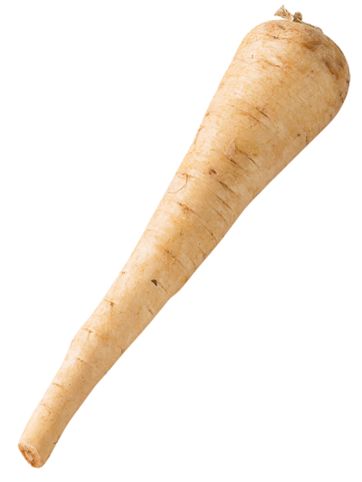 Økologiske Pastinakker