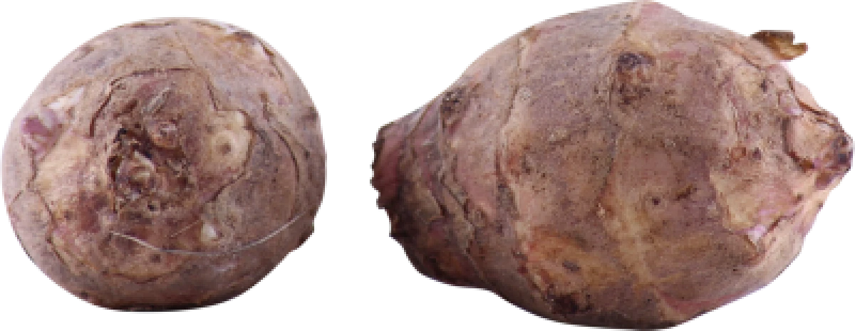 Økologiske Jordskokker