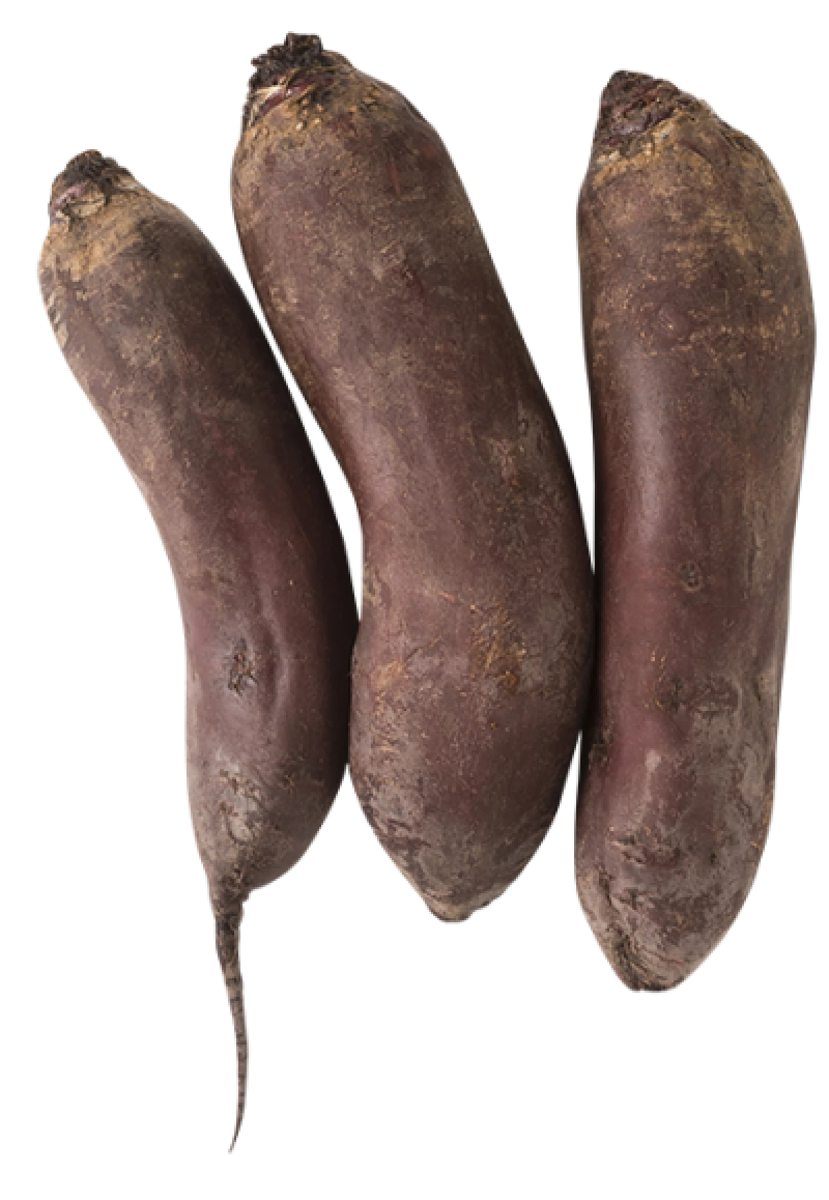 Økologiske Rødbeder