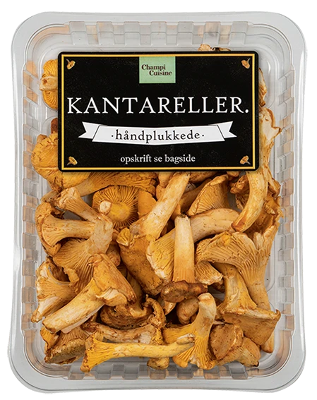 Kantareller