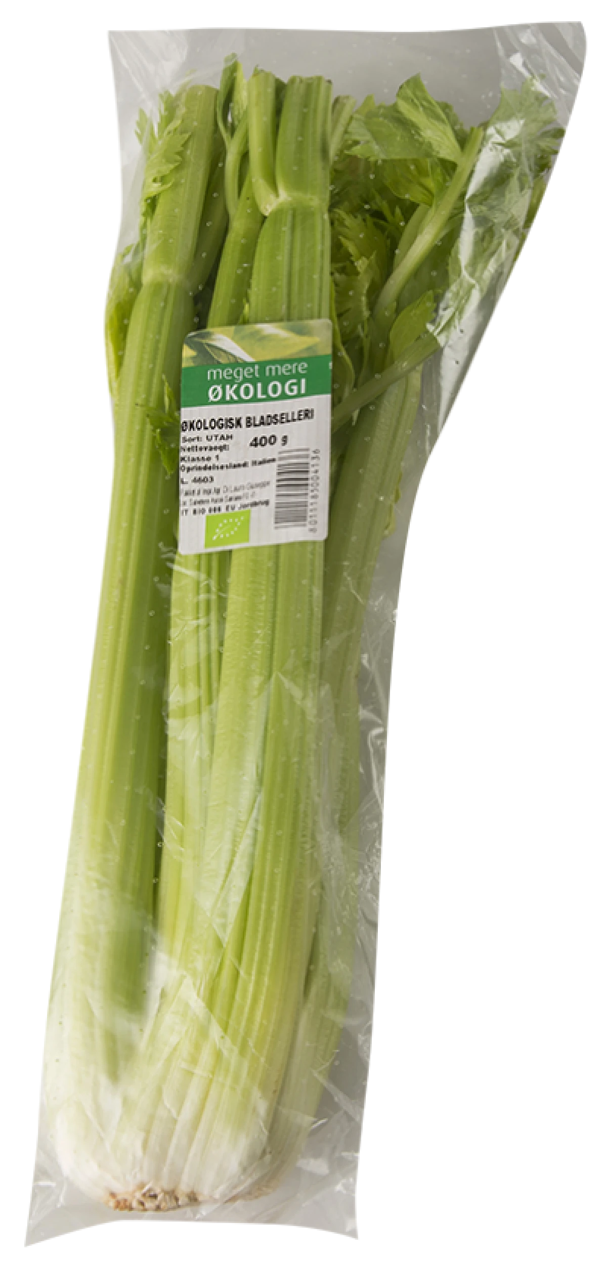 Bladselleri Økologisk