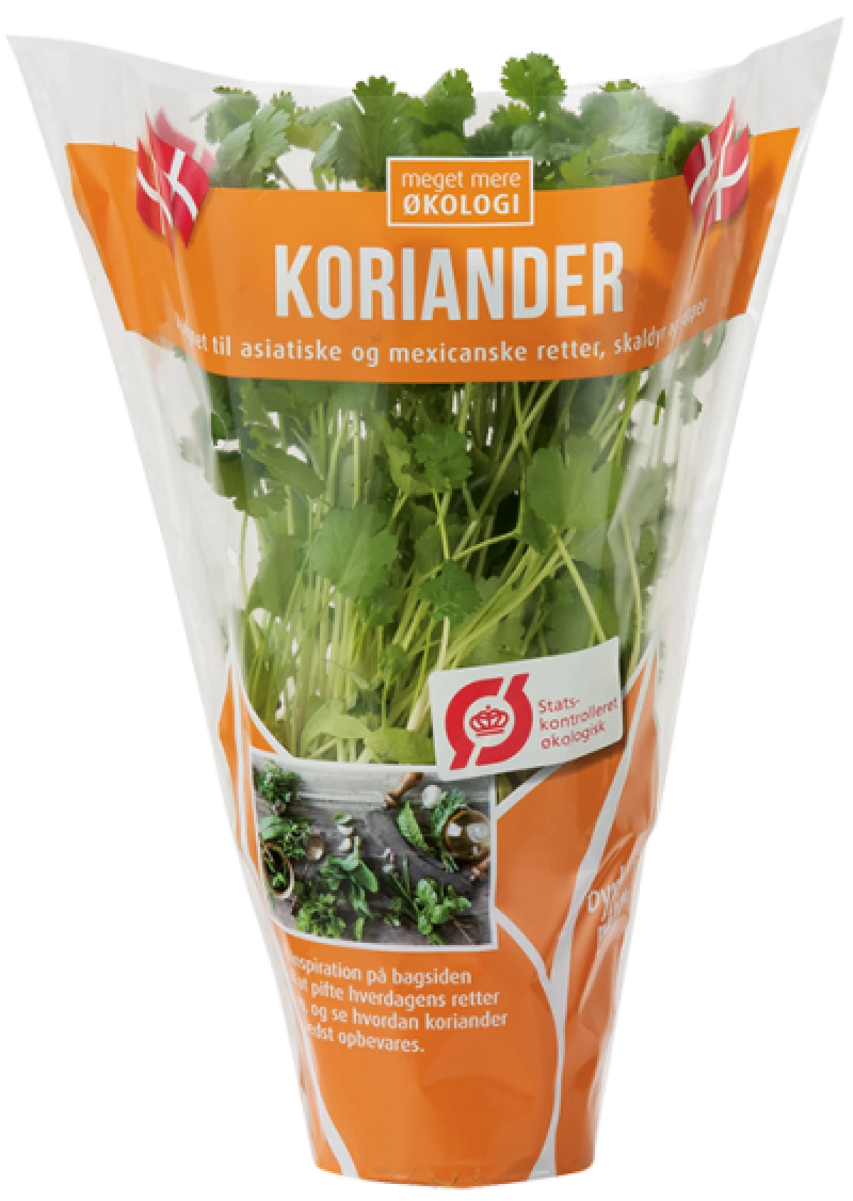 Økologisk Koriander