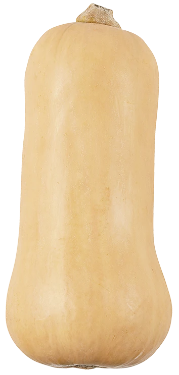 Produktbillede 1 af 1
