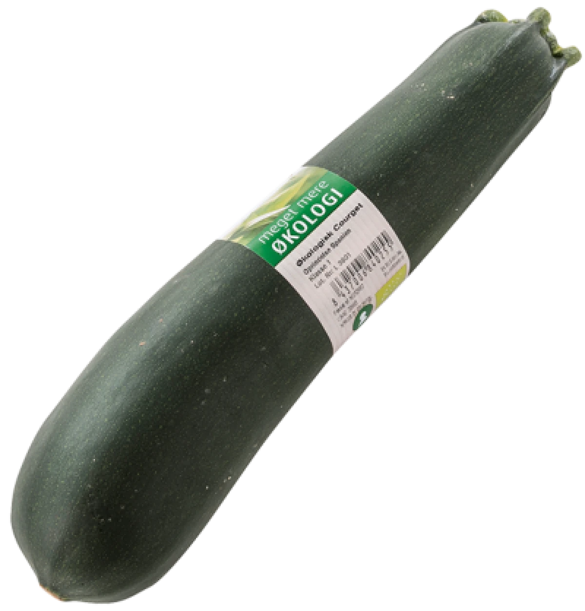 Økologisk Squash