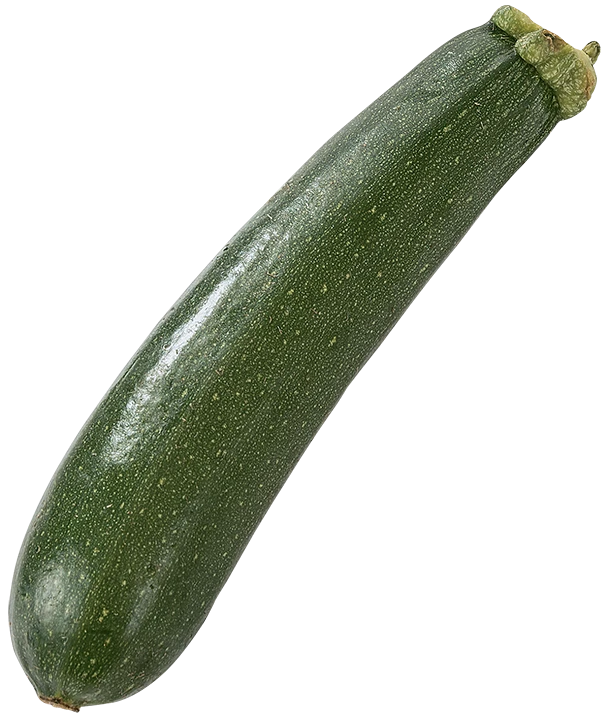 SQUASH – produktbillede