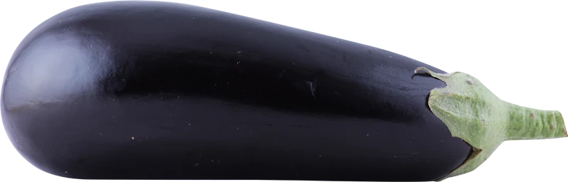Økologisk Aubergine
