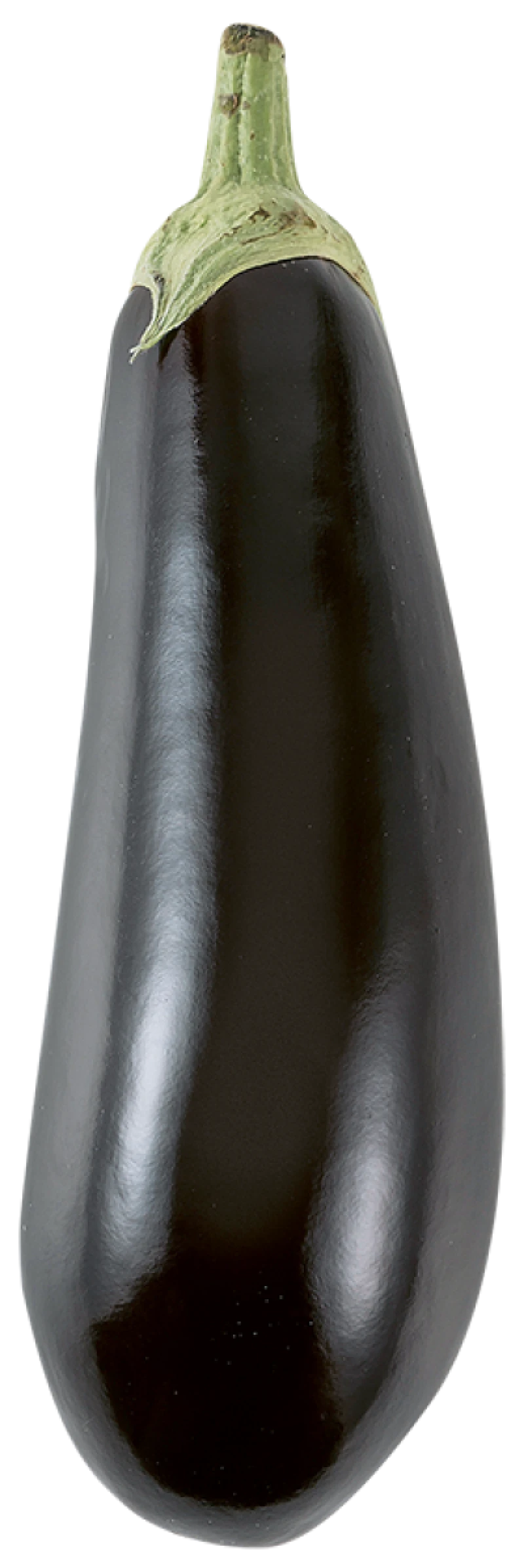 Aubergine