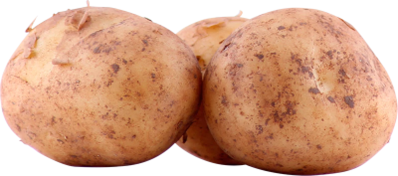 Kartofler Vej Selv