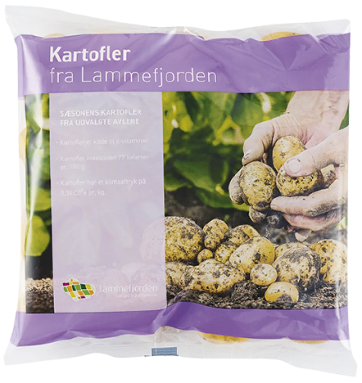 Lammefjords Kartofler Klasse 1
