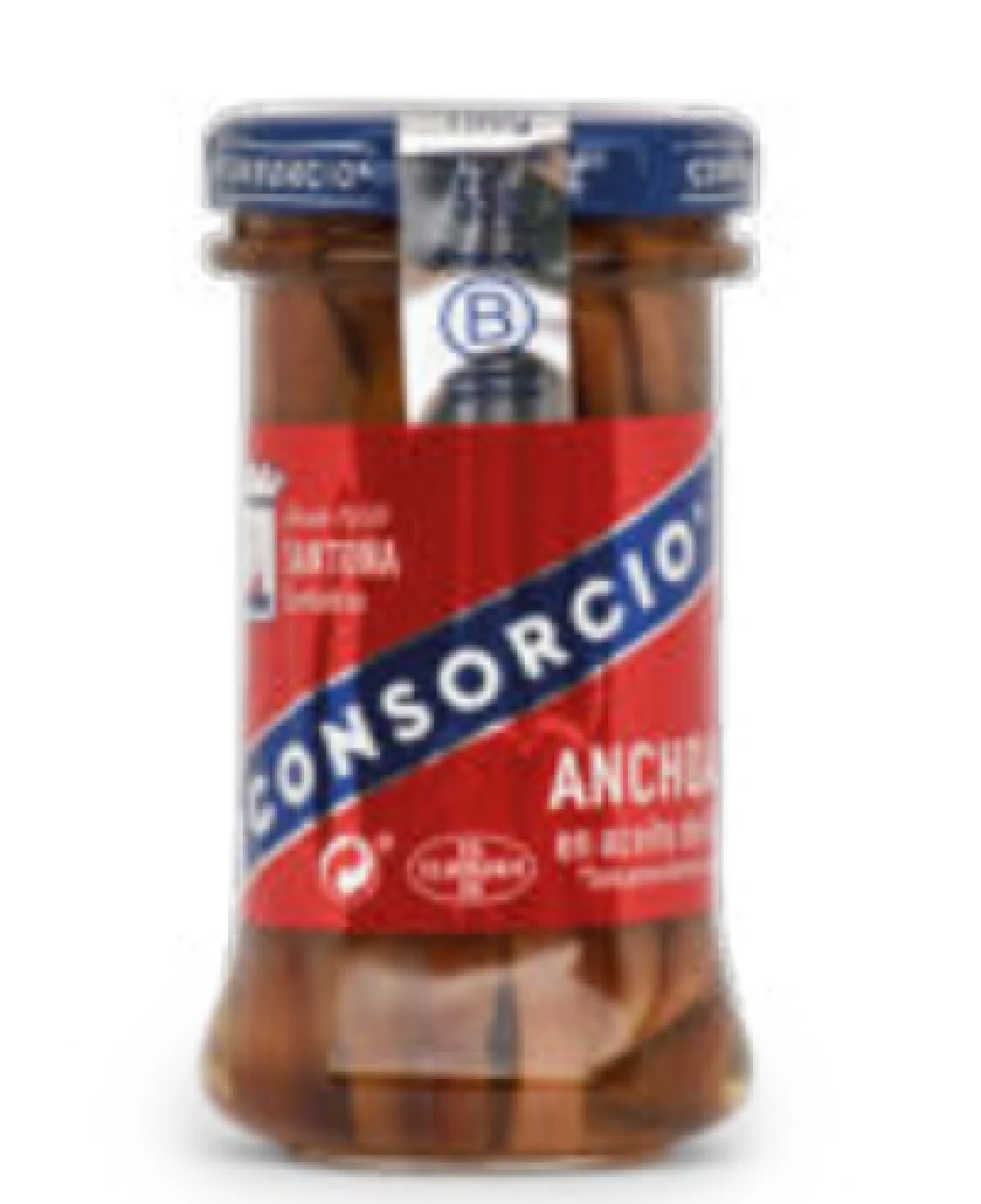 Consorcio Ansjosfileter