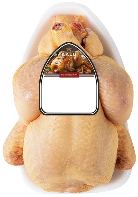 Gul Poussin