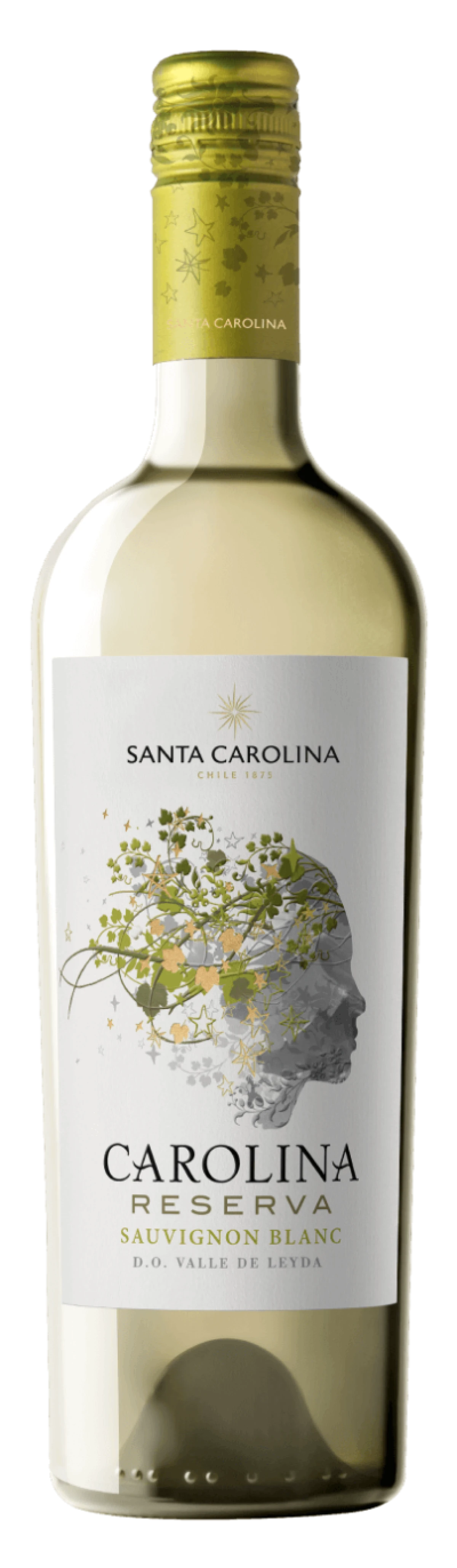 S.C. Reserva Sauvignon Blanc 13,5%