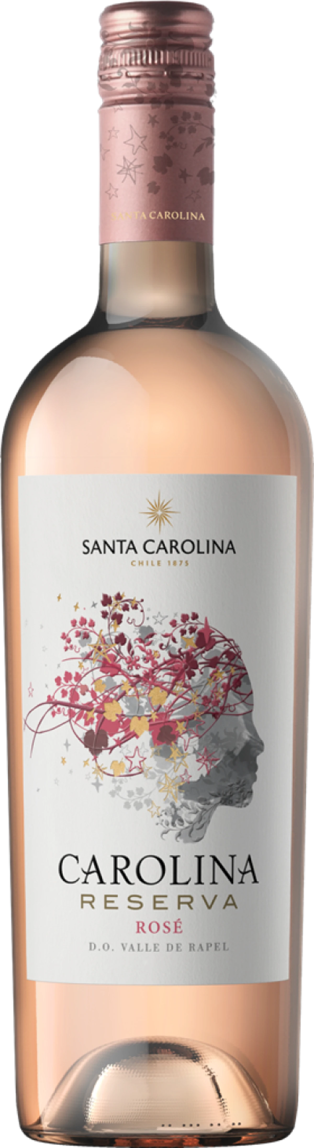 SANTA CAROLINA 12%